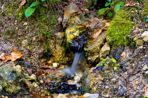 Primavera Uma Ravina Floresta Que Golpeia Baixo Das Rochas Dolginsky — Fotografia de Stock