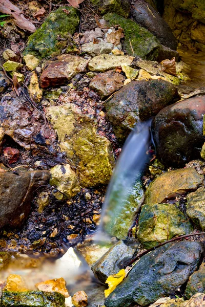 Primavera Uma Ravina Floresta Que Golpeia Baixo Das Rochas Dolginsky — Fotografia de Stock