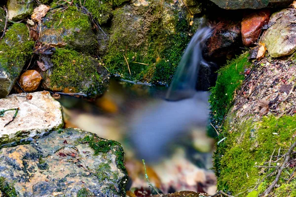 Primavera Uma Ravina Floresta Que Golpeia Baixo Das Rochas Dolginsky — Fotografia de Stock