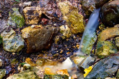 Kayaların altından çarpıcı bir orman vadiye baharda. Dolginsky dağ geçidi, OBNINSK, Russi