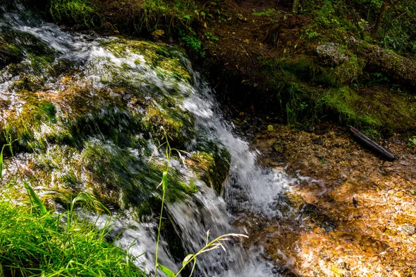 Las Stream Przepływ Wody Szybko — Zdjęcie stockowe