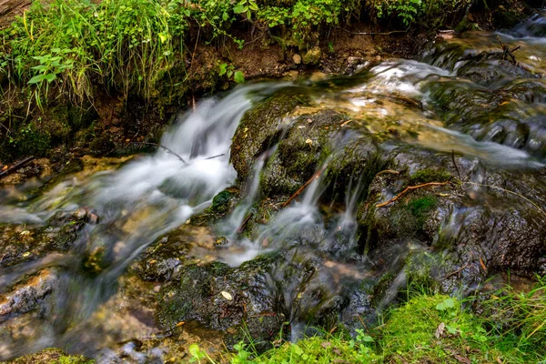 Flusso Forestale Flusso Acqua Veloce — Foto Stock