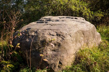 Ormandaki buzul kökenli büyük bir kaya. Malomakhovo Köyü, Borovsky bölgesi, Kaluzhskiy bölgesi, Rusya Federasyonu