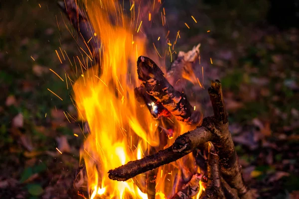 上向きに火花と美しいたき火 — ストック写真