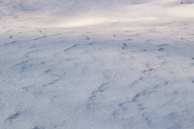 Beyaz arka plan ile kar dalgaların üstünde kar kış