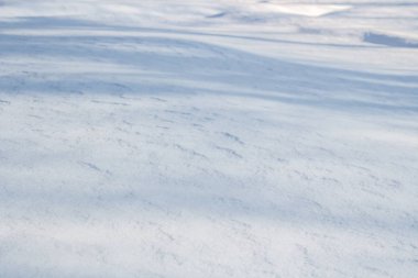 Beyaz arka plan ile kar dalgaların üstünde kar kış