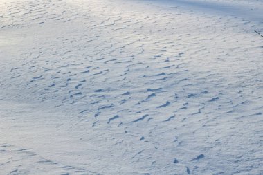 Beyaz arka plan ile kar dalgaların üstünde kar kış