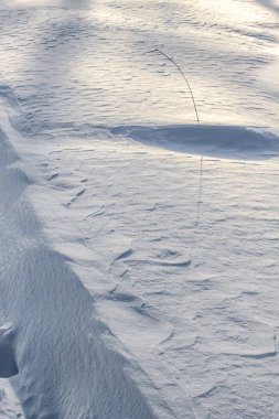 Beyaz arka plan ile kar dalgaların üstünde kar kış