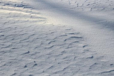 Beyaz arka plan ile kar dalgaların üstünde kar kış