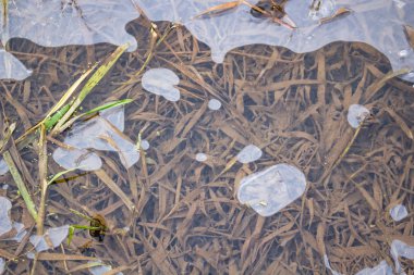 Sonbaharda Nehri üzerindeki ince buz