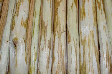 Ela ahşap şeklinde arka plan