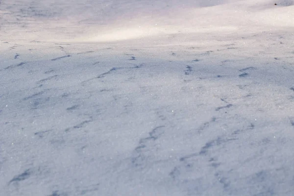 Fondo Blanco Con Ondulaciones Nieve Invierno — Foto de Stock