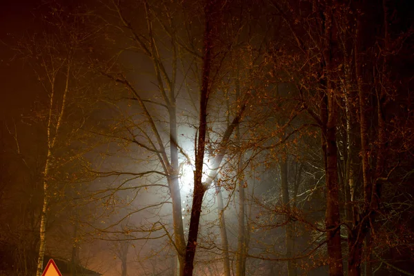 Scattered Light Street Lamp Night Thick Fog — Stock Photo, Image