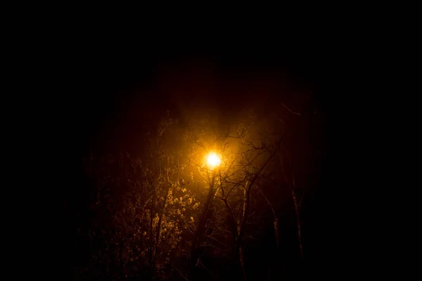 Scattered Light Street Lamp Night Thick Fog — Stock Photo, Image