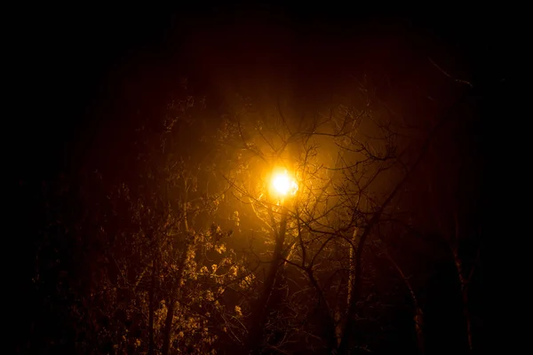 Разбросанный Свет Уличной Лампы Ночью Время Густого Тумана — стоковое фото