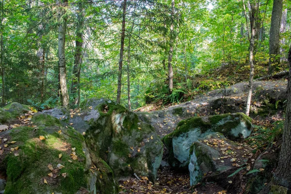 Monumento Naturaleza Chertovo Gorodische Kozelsk Rusia —  Fotos de Stock