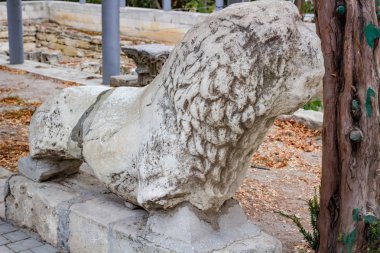 Sevastopol, Crimea - Eylül 2014: Tarihi ve Arkeoloji Müzesi-rezerv 