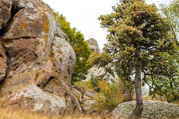 Demerdzhi Demirdzhi Demirji Montagna Nella Crimea Autunno — Foto Stock