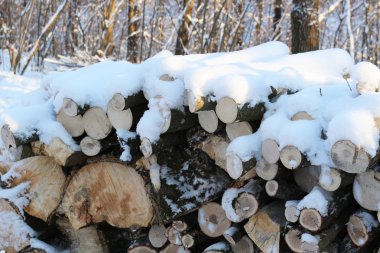 Duvar, yığılmış günlükleri ve dalları. Karda yakacak odun