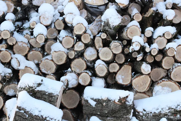 Τοίχο Στοιβάζονται Κορμούς Και Κλαδιά Δέντρων Καυσόξυλα Στο Χιόνι — Φωτογραφία Αρχείου