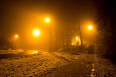 Woodland gece kalın bir sis sırasında bir yol