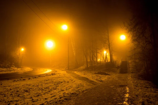 Uma Estrada Floresta Durante Uma Névoa Espessa Noite — Fotografia de Stock