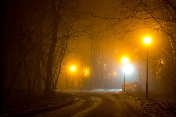 Camino Bosque Durante Una Espesa Niebla Por Noche —  Fotos de Stock