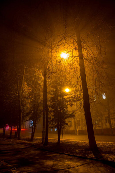 Красиво рассеянный уличный свет в густом тумане ночью
