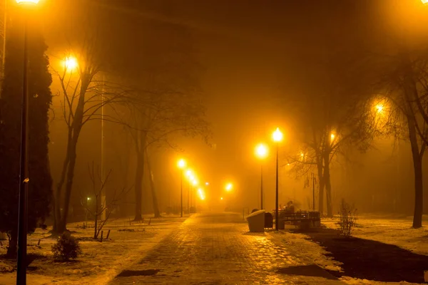 Pedestrian Path Illuminated Street Lights Thick Fog Evening — Stock Photo, Image