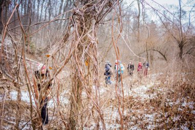 Turistik yürüyüş. Bir grup insan çalıların arkasında arka planda
