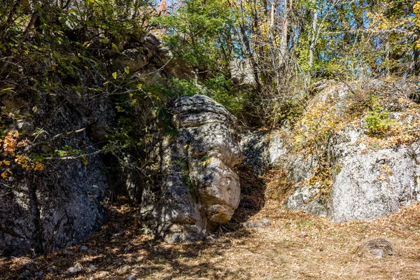 Yalta Dağ Orman Doğal Rezerv Orman Mount Petri Üzerinde Kırım — Stok fotoğraf