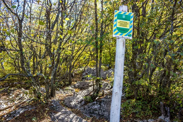 Petri Yalta Crimea September 2014 Yalta Berg Bos Natuurreservaat Bos — Stockfoto