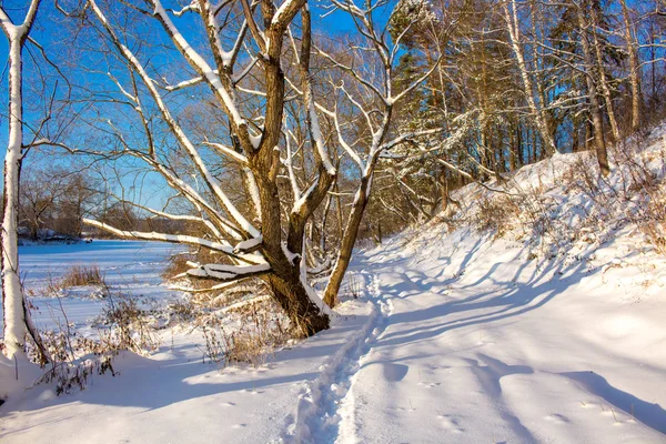 Vackra Snötäckta Vägen Längs Floden Vinter — Stockfoto