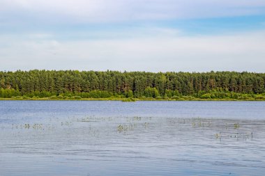 Lake Komlevo, Kaluzhskaya Region, Rusya Federasyonu
