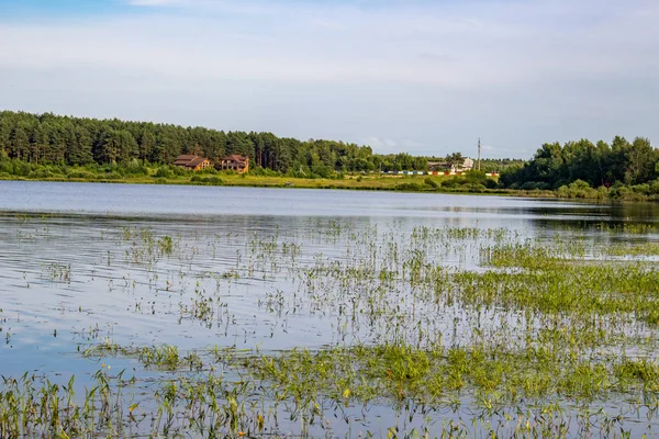 Lake Komlevo Kaluzhskaya Region Rusya Federasyonu — Stok fotoğraf