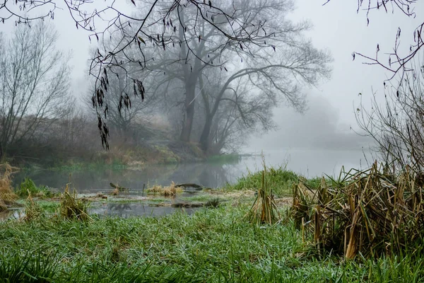 Brume Matinale Sur Rivière — Photo