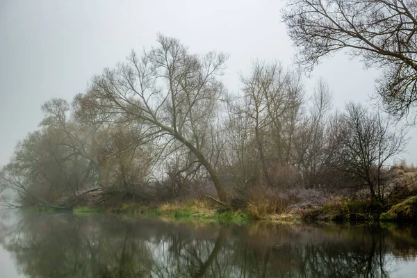 川の朝霧 — ストック写真