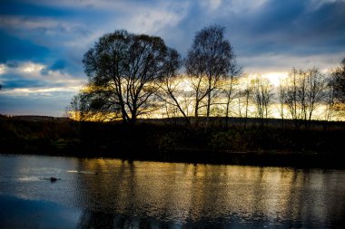 Günbatımı ağaçlar Nehri arka planı