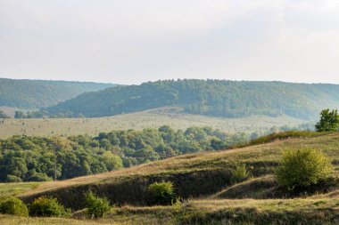 Krasivaya Mecha Nehri Vadisi görünümünü. Kozie Köyü, Efremovskiy bölgesi, Tulskaya bölgesi, Rusya Federasyonu