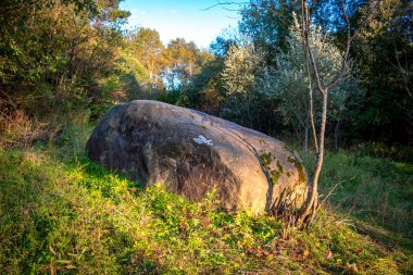 Büyük bir kaya Köyü, Malomakhovo, Borovskiy district, Rusya yakın