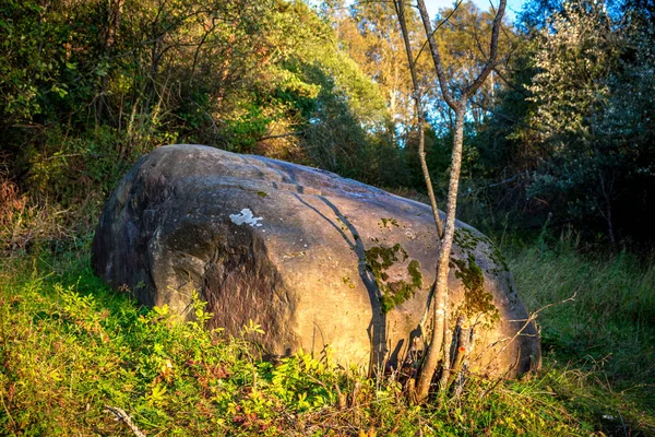 Large Boulder Village Malomakhovo Borovskiy District Russia — Stock Photo, Image