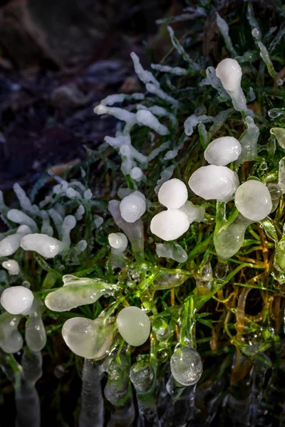 Beau Printemps Glacé Dans Une Journée Ensoleillée — Photo