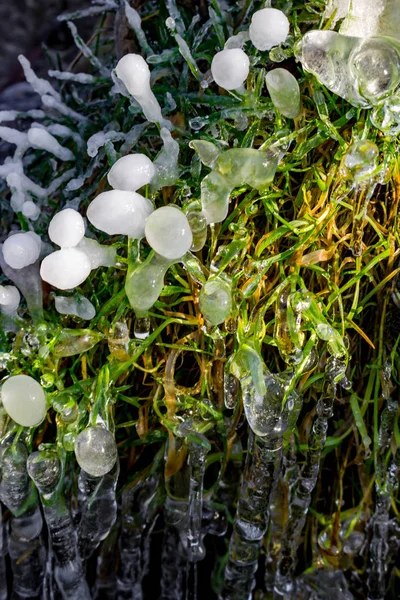 Schöner Eisiger Frühling Sonnigem Tag — Stockfoto