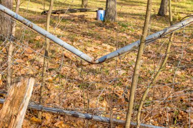 Kırık bükülmüş metal çit