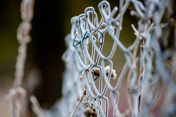 Fence Net Covered Frost — Stock Photo, Image