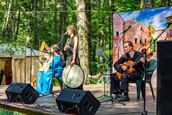 Obninsk Rusia Julio 2016 Actuación Grupos Populares Parque Día Ciudad — Foto de Stock