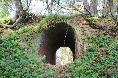 Terk edilmiş bir çiftlik park eski park mağara. Kurilovo, Rusya Federasyonu