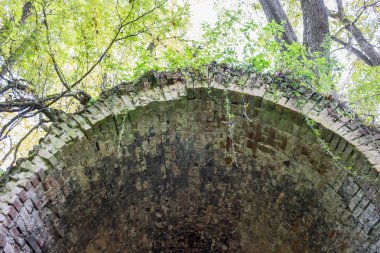 Terk edilmiş bir çiftlik park eski park mağara. Kurilovo, Rusya Federasyonu