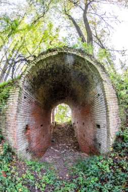 Terk edilmiş bir çiftlik park eski park mağara. Kurilovo, Rusya Federasyonu
