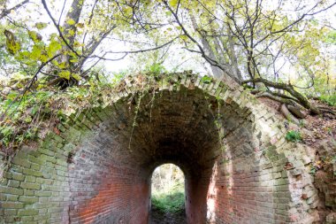 Terk edilmiş bir çiftlik park eski park mağara. Kurilovo, Rusya Federasyonu